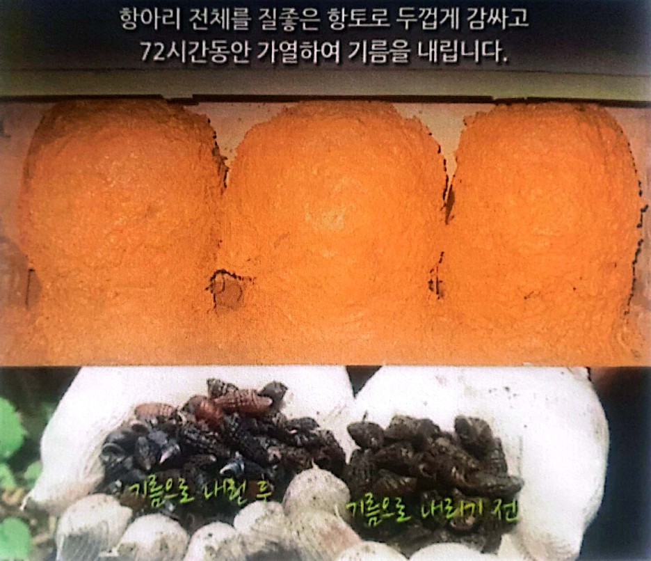 다슬기 채집·생산 과정 5