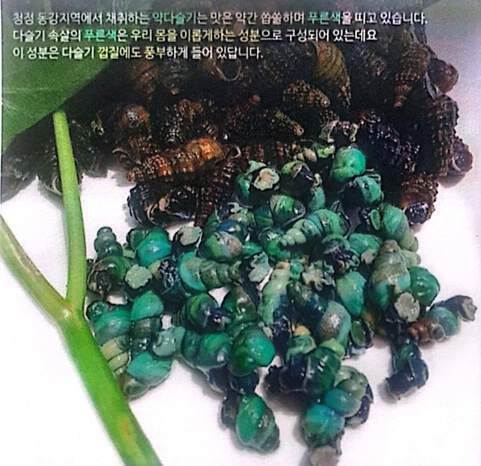 동강 다슬기 기름 상세페이지 3