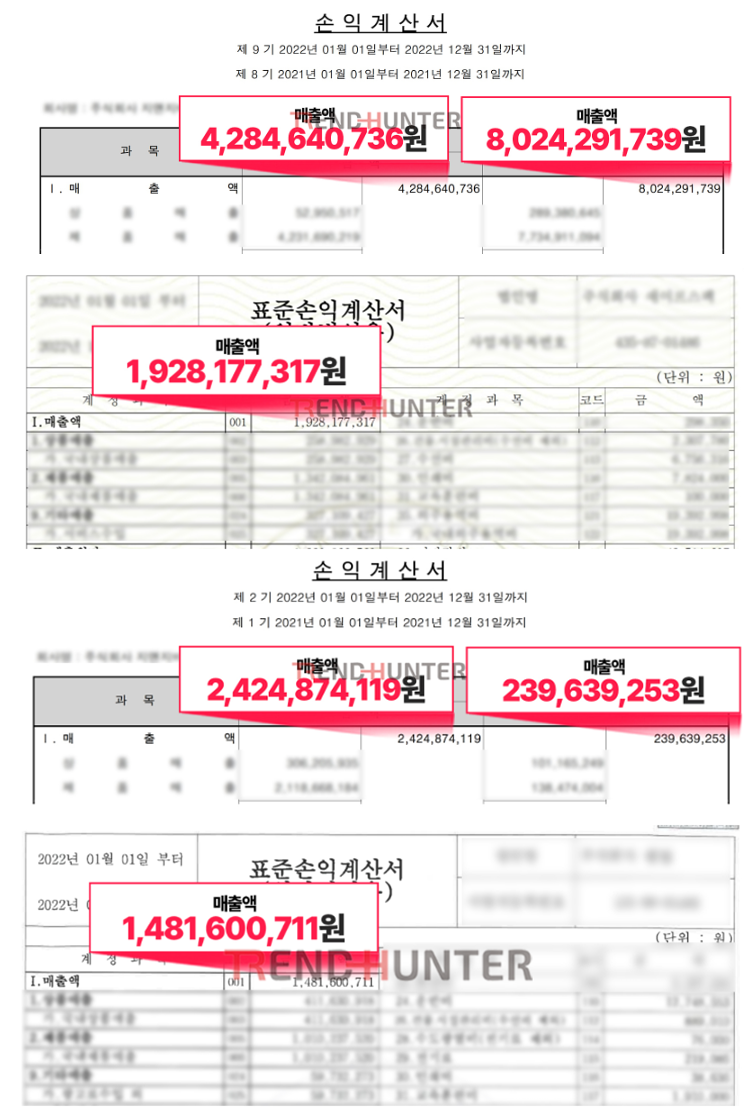 2022년 자사 매출 100억 손익계산서